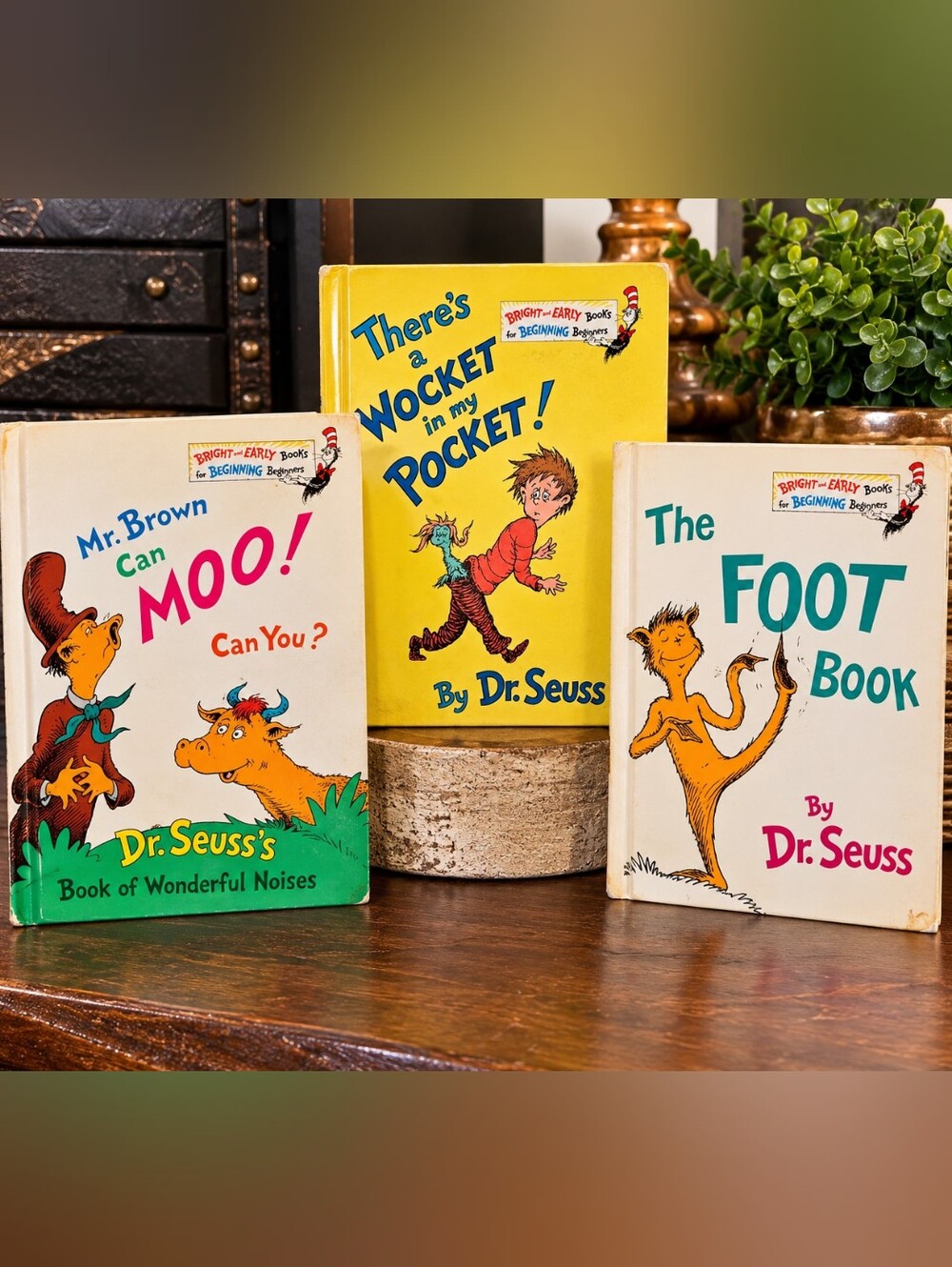 Vintage Dr. Seuss Hardcover Book Lot of 3 – Wocket, Foot Book, Mr. Brown